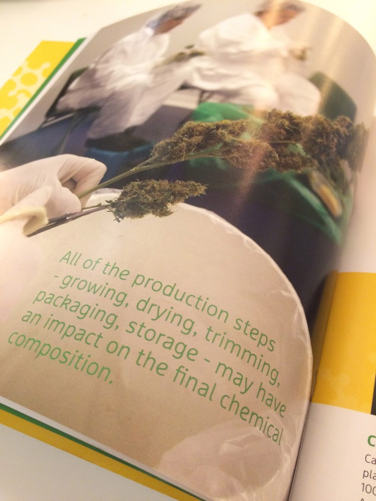Advice on cultivation, from 'An Introduction to Medicinal Cannabis' by Dr Arno Hazekamp, 2013