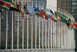 NGOs around the globe will not let world leaders resume the status quo at UNGASS next month (Source: Wikimedia Commons)