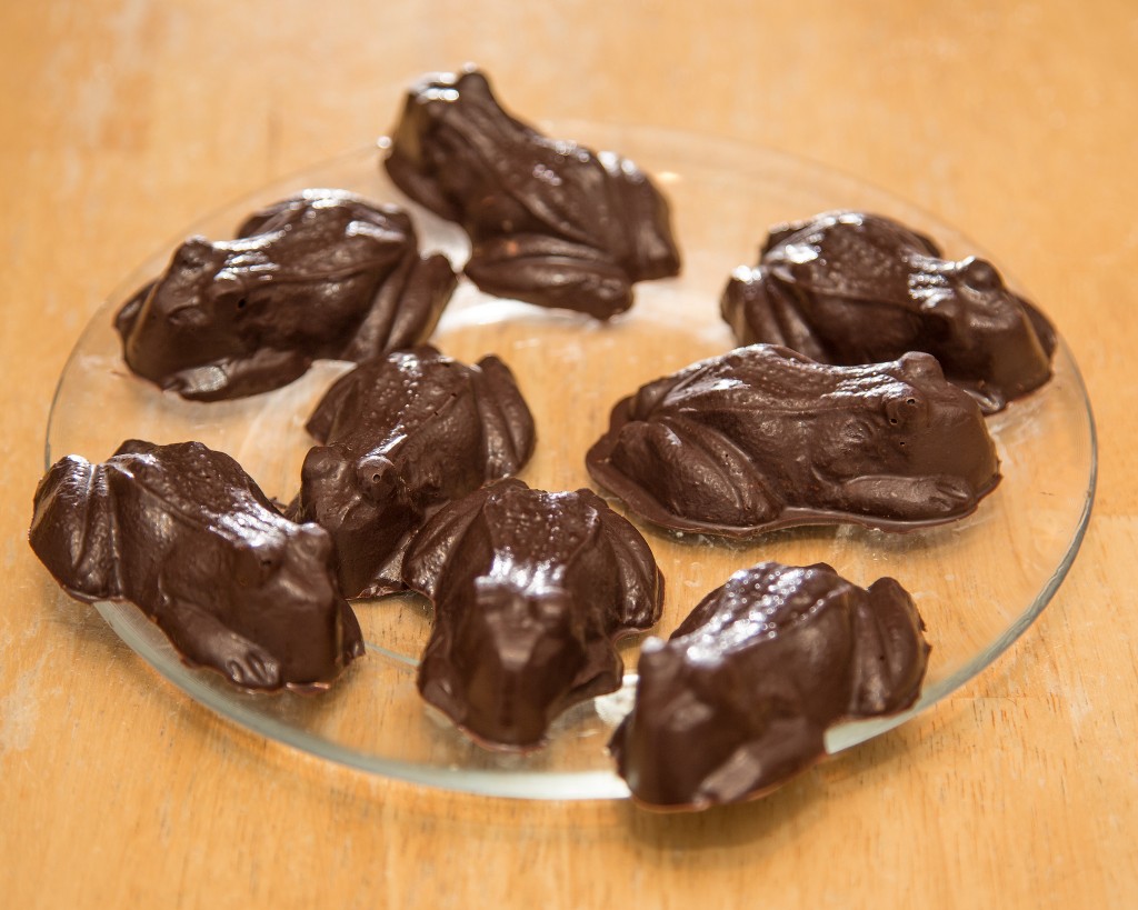 Chocolate Frogs (Source: Flickr - Robert Couse-Baker)
