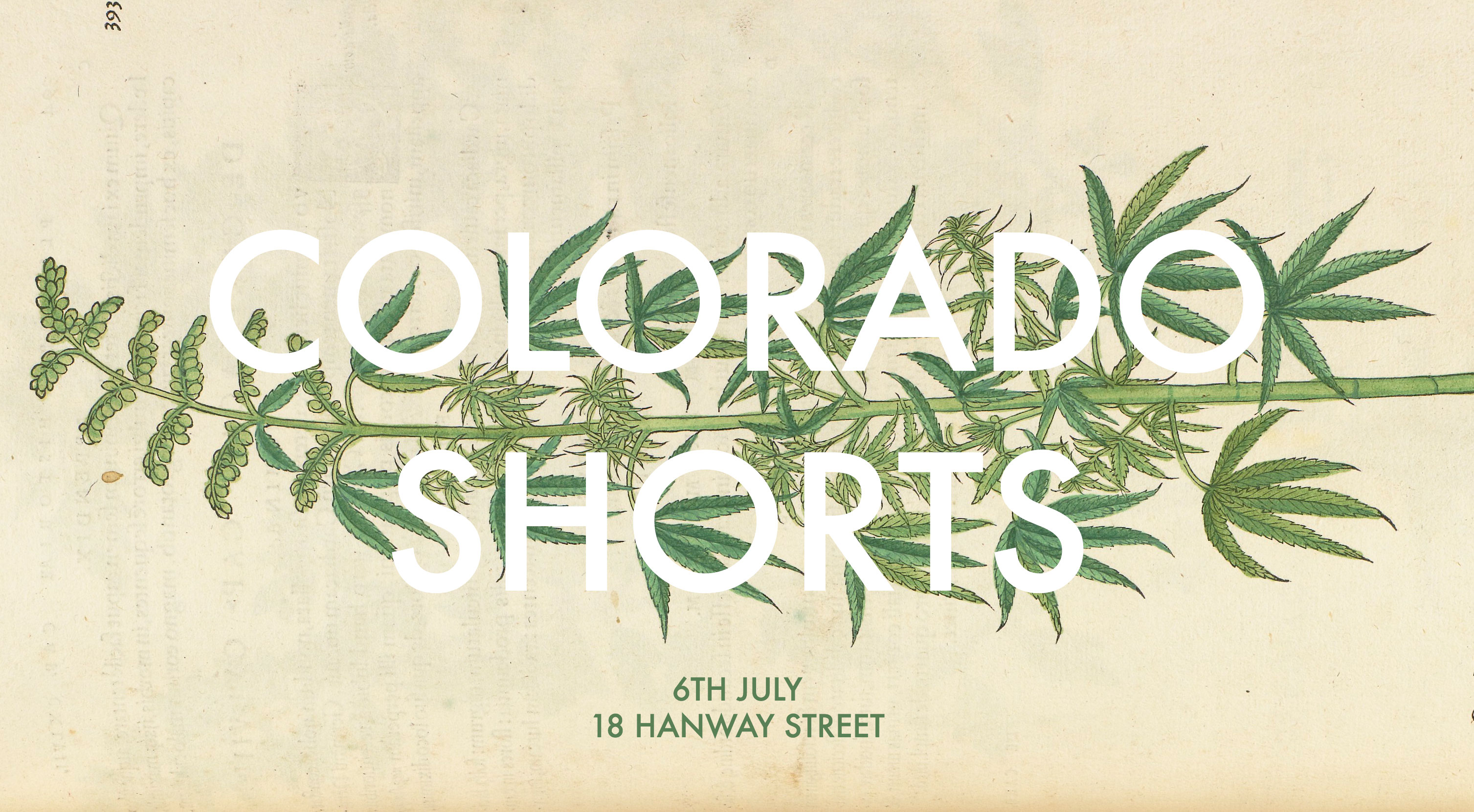 Colorado-Shorts-New-w-Text