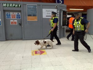 UK Police with a sniffer dog