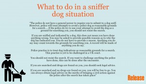What to do in a sniffer dog situation