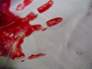 Bloody Handprint (Jo Naylor)