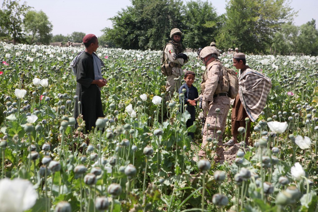 U.S. Marine greets locals in a poppy field, Helmand Province, Afghanistan. (Wikimedia Commons)