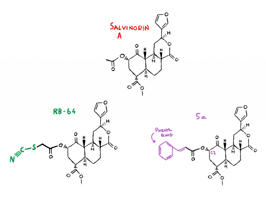 These analogues of Salvinorin A are currently being investigated as potential non-addictive painkillers. (Source: thepsychedelicscientist.com)