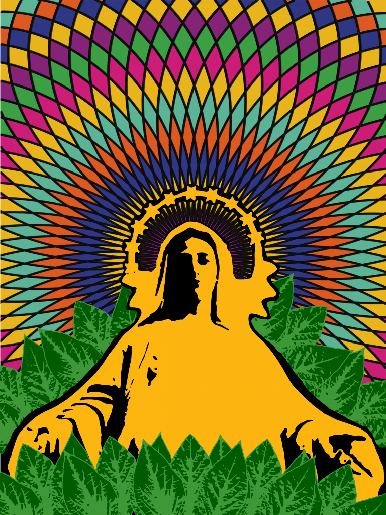 Salvia divinorum was a psychedelic used in religious ceremonies with a Christian influence. (Source: thepsychedelicscientist.com)