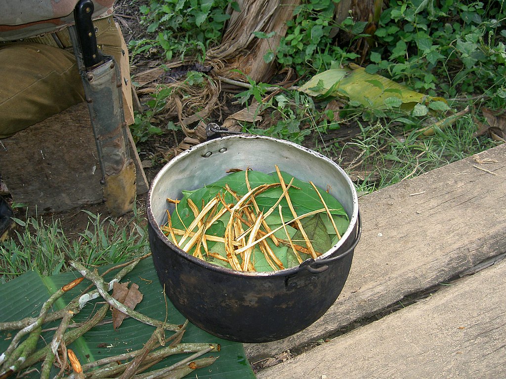 Preparation of Ayahuasca showing a small bowl with leaves and plants inside on a bench, , Province of Pastaza, Ecuador